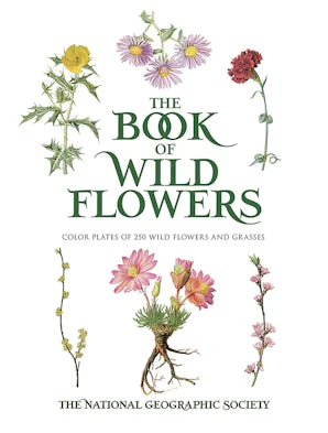 The Book of Wild Flowers